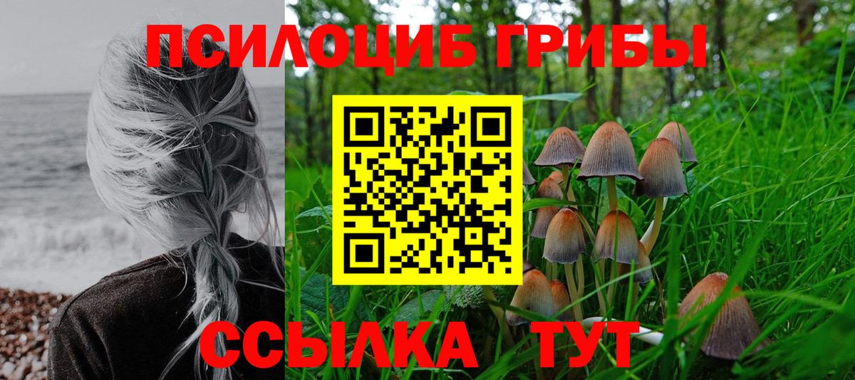 Галлюциногенные грибы мухоморы  Галлюциногенные грибы прущие грибы  Ангарск  цены   Вход с VPN 